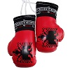 FIGHT-FIT - Mini Guantoni da Boxe / Bosnia