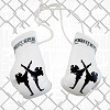 FIGHTERS - Mini Boxhandschuhe / Fighters / Weiss