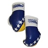 FIGHT-FIT - Mini Boxing Gloves / Bosnia