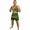 FIGHTERS - Muay Thai Shorts / Grün / Large