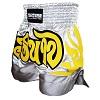 FIGHTERS - Muay Thai Shorts / Silber-Grau