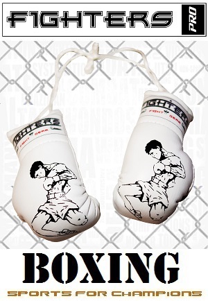 FIGHT-FIT - Mini Guantoni da Boxe / Muay Thai / Bianco